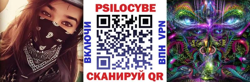 где найти Калтан Псилоцибиновые грибы Psilocybe